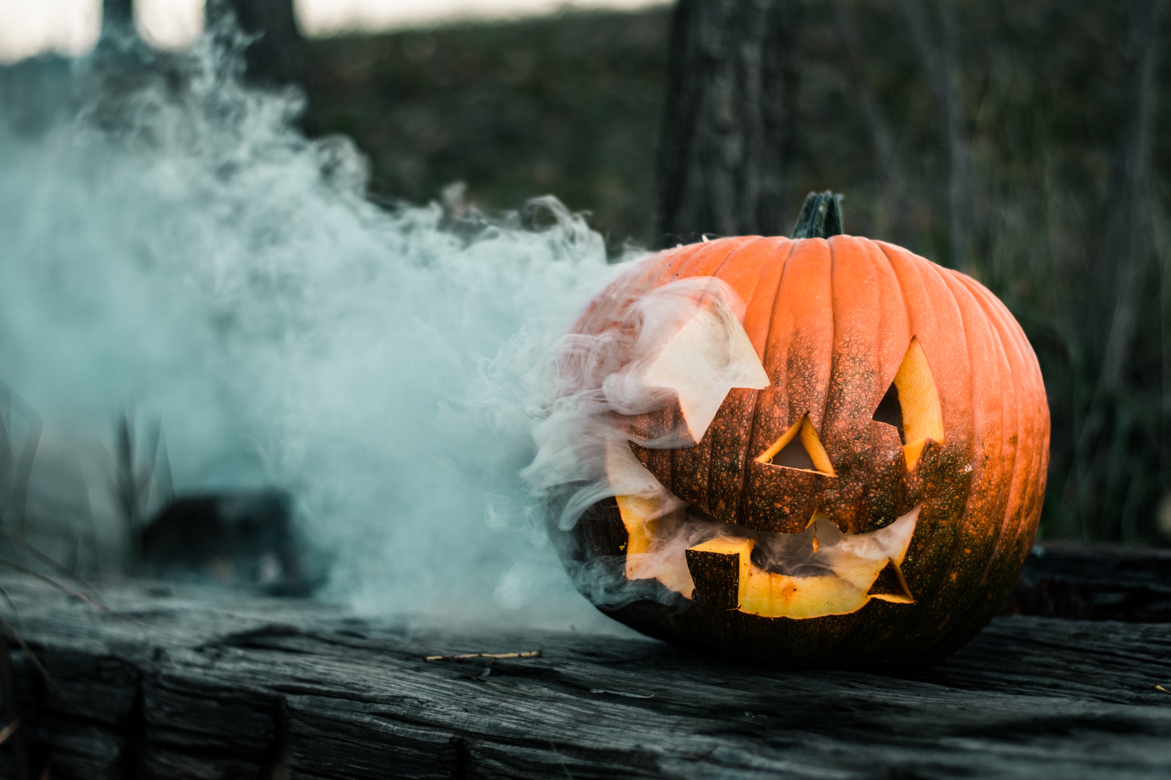 libro halloween 2019