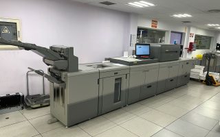 IMG_8919.jpg